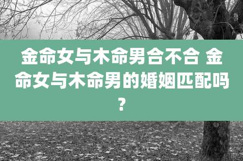 金命女与木命男合不合 金命女与木命男的婚姻匹配吗?