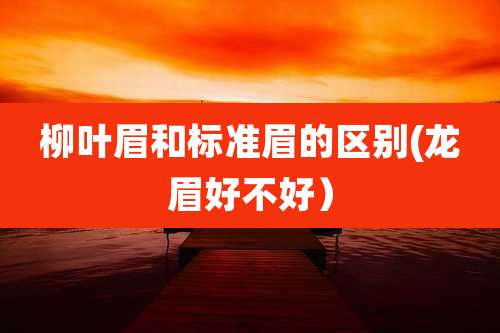 柳叶眉和标准眉的区别(龙眉好不好)