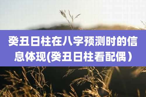 癸丑日柱在八字预测时的信息体现(癸丑日柱看配偶）