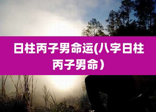 日柱丙子男命运(八字日柱丙子男命）