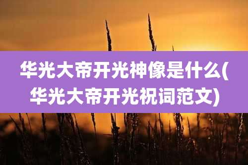 华光大帝开光神像是什么(华光大帝开光祝词范文)