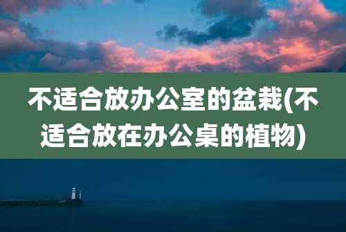 不适合放办公室的盆栽(不适合放在办公桌的植物)