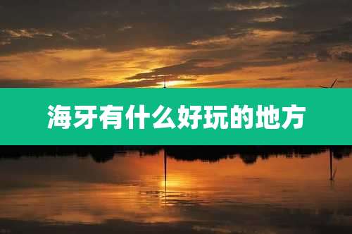 海牙有什么好玩的地方