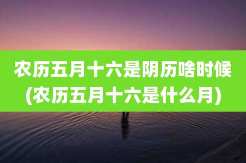 农历五月十六是阴历啥时候(农历五月十六是什么月)