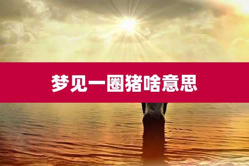 梦见一圈猪啥意思