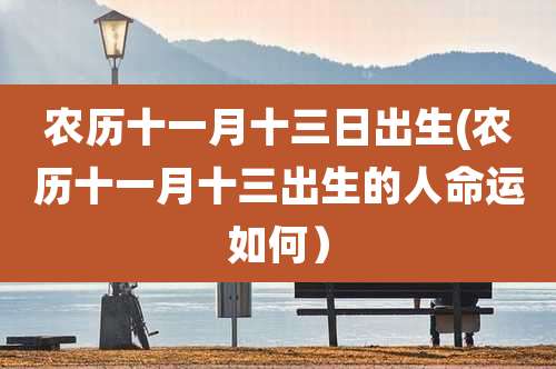 农历十一月十三日出生(农历十一月十三出生的人命运如何)