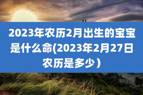 2023年农历2月出生的宝宝是什么命(2023年2月27日农历是多少)