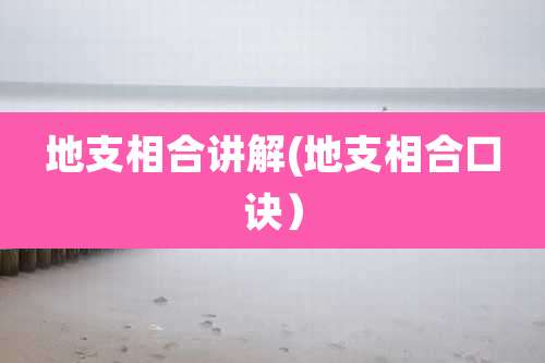 地支相合讲解(地支相合口诀)