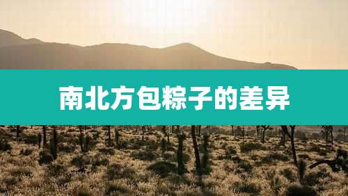 南北方包粽子的差异