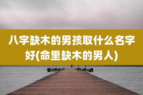 八字缺木的男孩取什么名字好(命里缺木的男人)