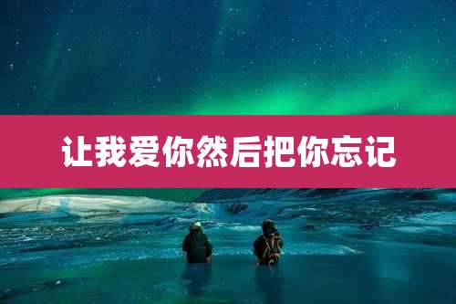 让我爱你然后把你忘记