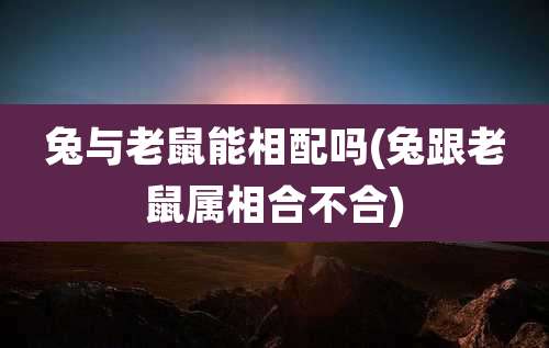 兔与老鼠能相配吗(兔跟老鼠属相合不合)