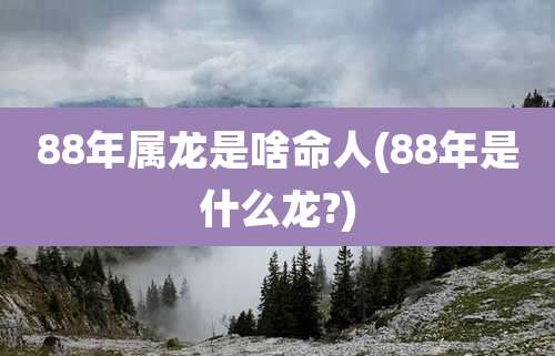 88年属龙是啥命人(88年是什么龙?)