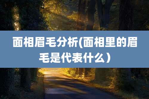 面相眉毛分析(面相里的眉毛是代表什么）