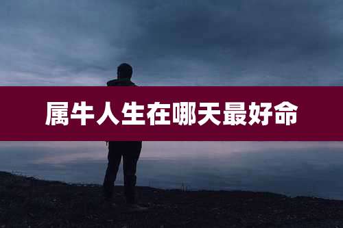 属牛人生在哪天最好命