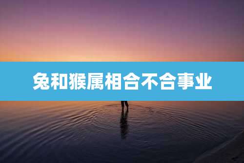 兔和猴属相合不合事业