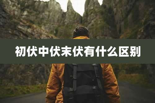 初伏中伏末伏有什么区别