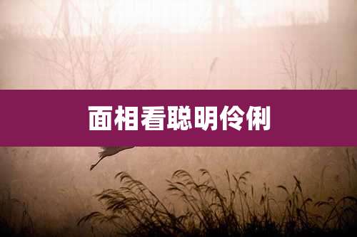 面相看聪明伶俐