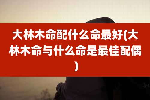 大林木命配什么命最好(大林木命与什么命是最佳配偶)