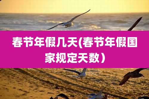 春节年假几天(春节年假国家规定天数）