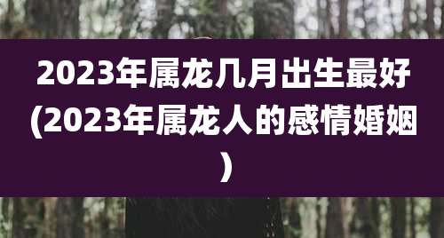 2023年属龙几月出生最好(2023年属龙人的感情婚姻)