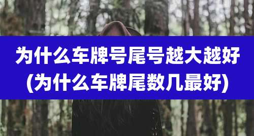 为什么车牌号尾号越大越好(为什么车牌尾数几最好)