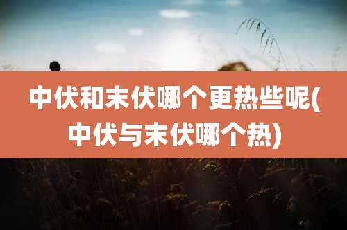 中伏和末伏哪个更热些呢(中伏与末伏哪个热)