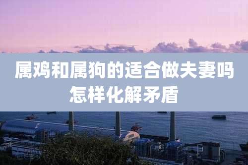 属鸡和属狗的适合做夫妻吗怎样化解矛盾