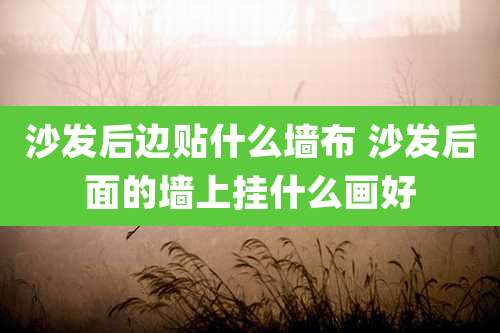 沙发后边贴什么墙布 沙发后面的墙上挂什么画好