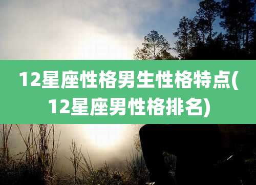 12星座性格男生性格特点(12星座男性格排名)