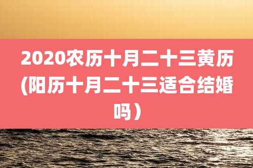 2020农历十月二十三黄历(阳历十月二十三适合结婚吗）