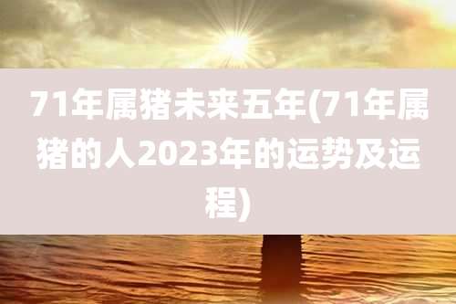 71年属猪未来五年(71年属猪的人2023年的运势及运程)