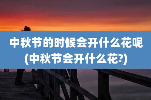 中秋节的时候会开什么花呢(中秋节会开什么花?)