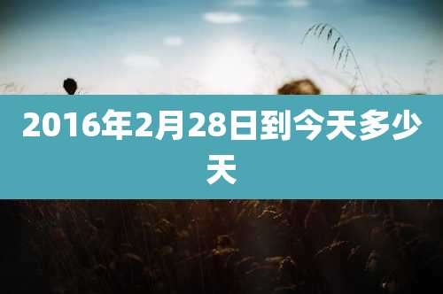2016年2月28日到今天多少天