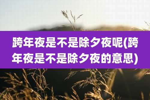 跨年夜是不是除夕夜呢(跨年夜是不是除夕夜的意思)