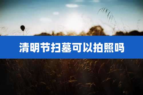 清明节扫墓可以拍照吗