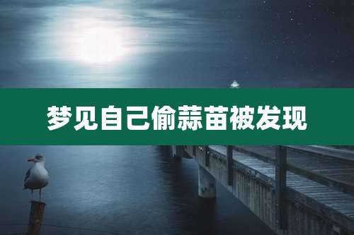 梦见自己偷蒜苗被发现