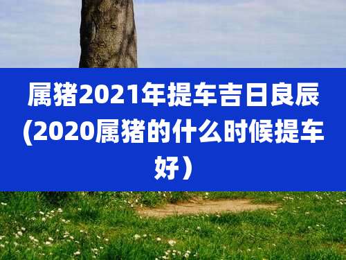 属猪2021年提车吉日良辰(2020属猪的什么时候提车好)