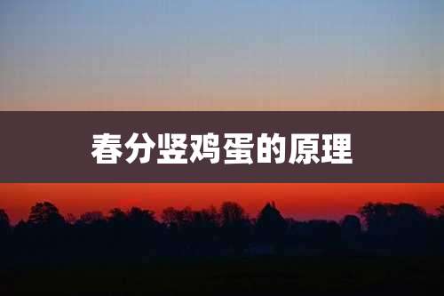 春分竖鸡蛋的原理
