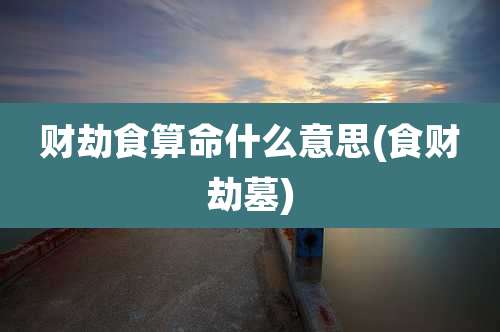 财劫食算命什么意思(食财劫墓)