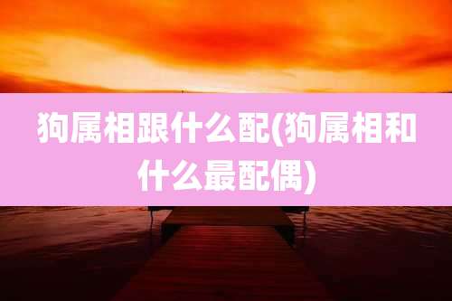 狗属相跟什么配(狗属相和什么最配偶)
