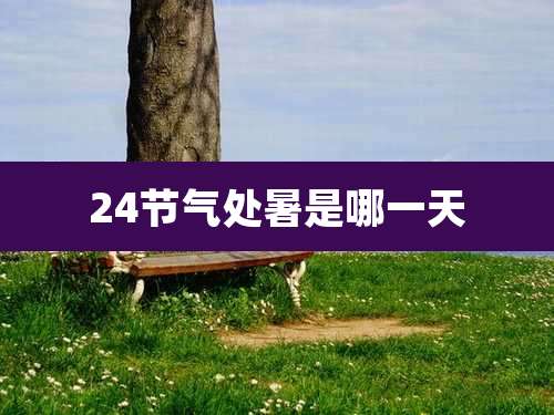 24节气处暑是哪一天