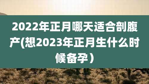 2022年正月哪天适合剖腹产(想2023年正月生什么时候备孕)