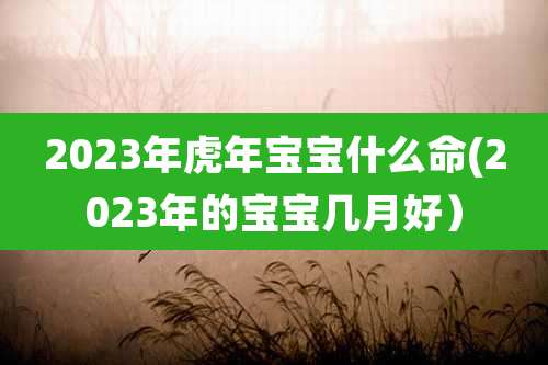 2023年虎年宝宝什么命(2023年的宝宝几月好)