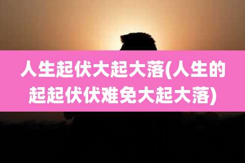 人生起伏大起大落(人生的起起伏伏难免大起大落)