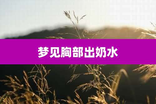 梦见胸部出奶水