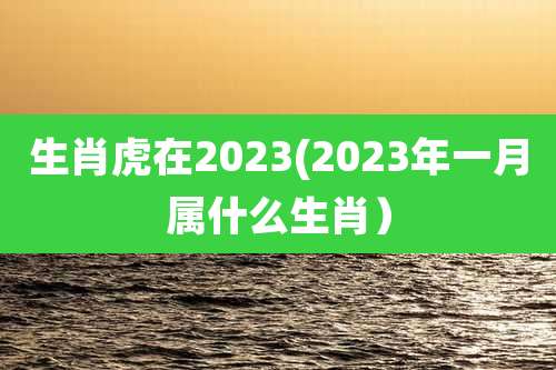 生肖虎在2023(2023年一月属什么生肖）