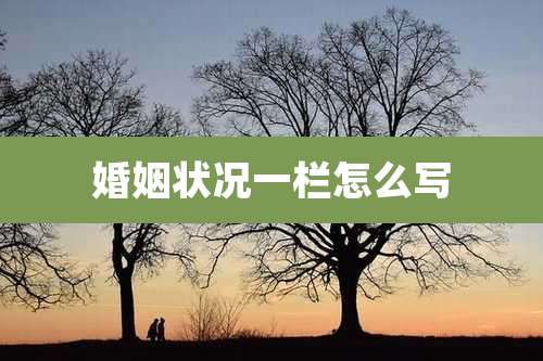 婚姻状况一栏怎么写