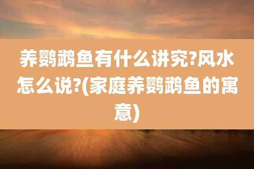 养鹦鹉鱼有什么讲究?风水怎么说?(家庭养鹦鹉鱼的寓意)