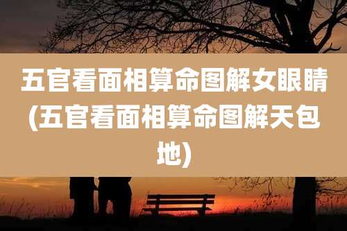 五官看面相算命图解女眼睛(五官看面相算命图解天包地)